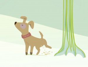 hund_spruch4